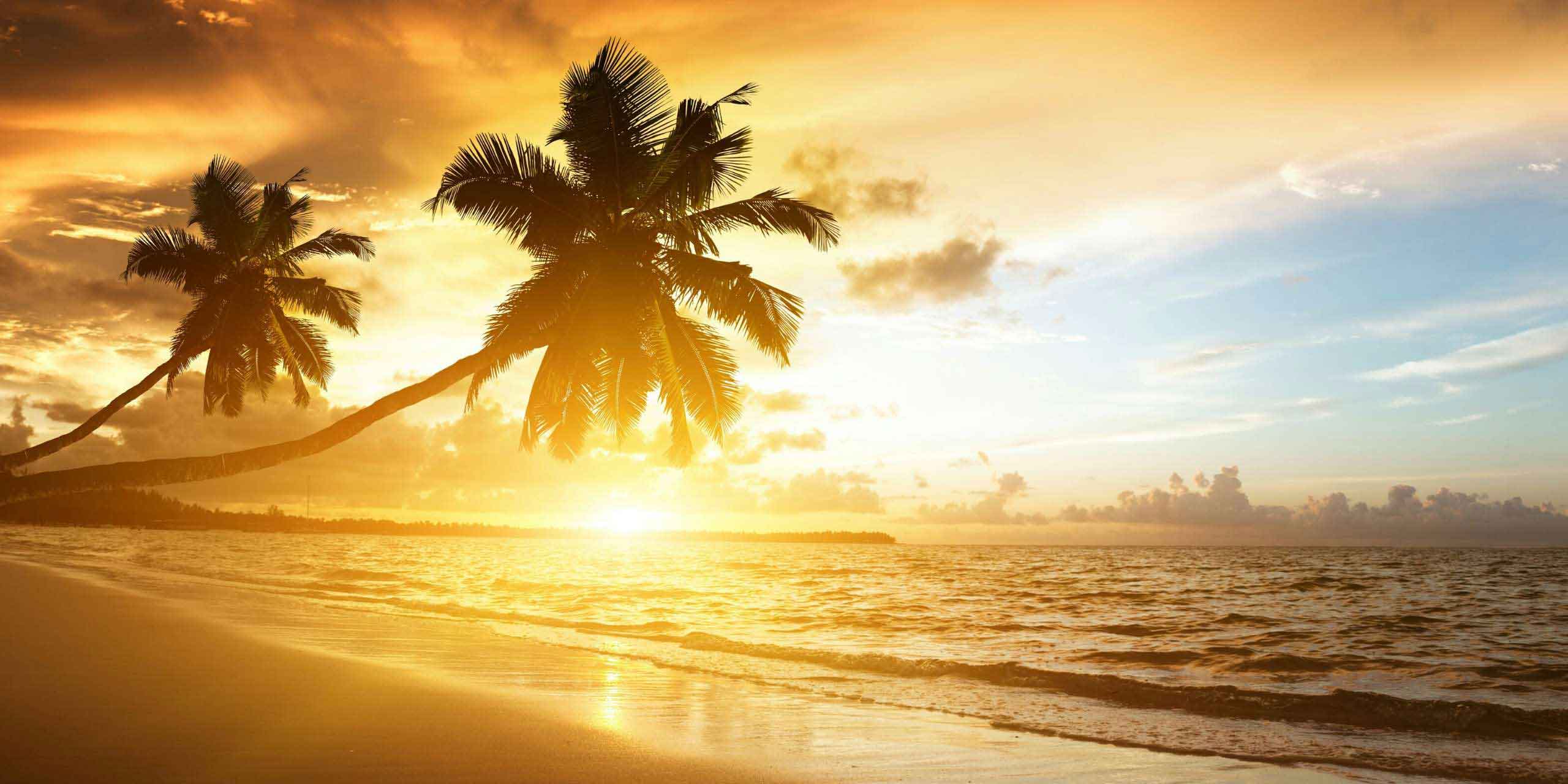 SandstrandSEO SandstrandSEO